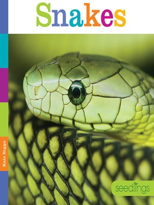 Snakes - ebook